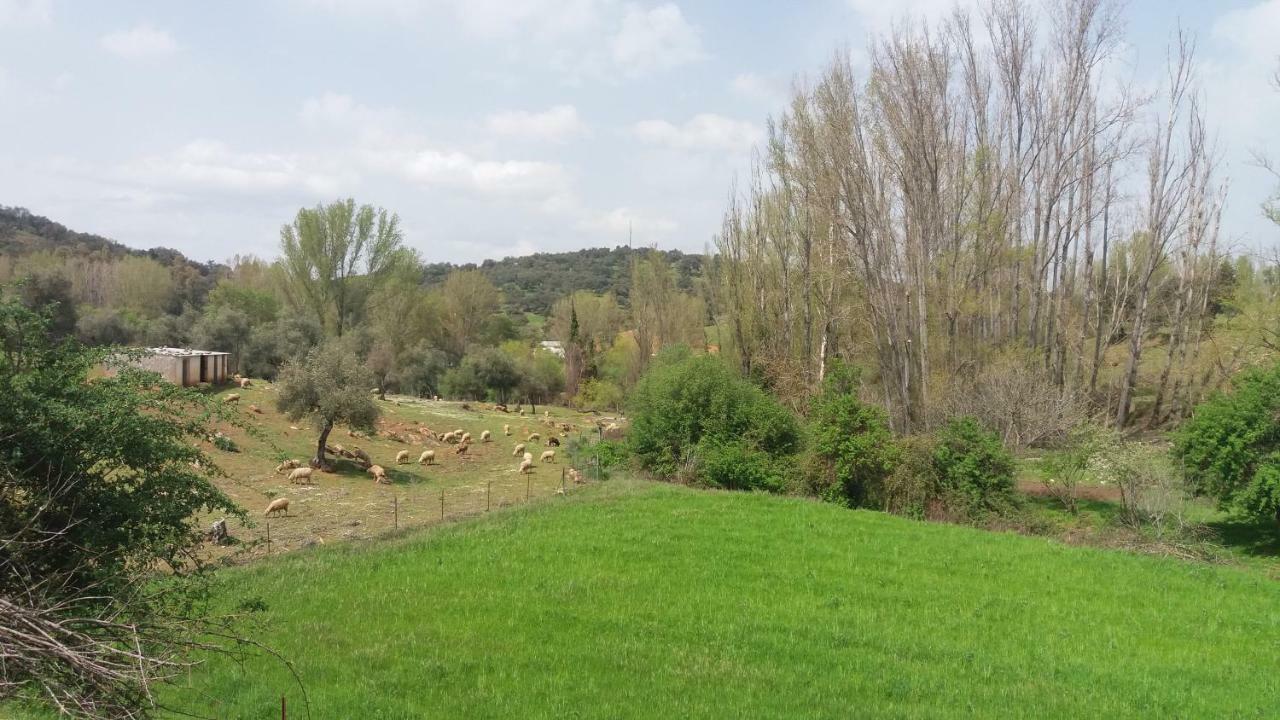 Casa Rural El Jardin Del Hueznar San Nicolas del Puerto Luaran gambar